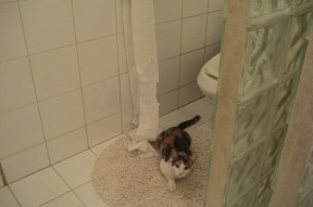 开云体育官网在线-罗马尼亚队团体赛制深入分析：如何通过战术配合提升整体稳定性