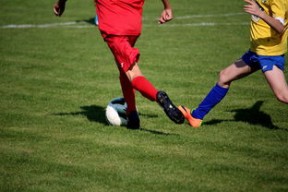 开云体育官网app-拳击国家队备战亚运 实施精英训练计划，拳击亚军奖杯照片