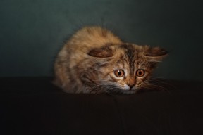 开云体育官网下载-国际热身赛中国青年队战胜 球迷鼓励新人崛起，国家队热身赛有出场费吗