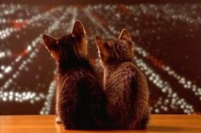 开云体育app入口-中国男篮投篮命中率稳步上升，中国男篮投篮姿势