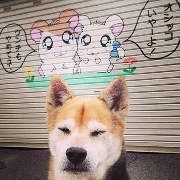 中国三人篮球男队练习高压对抗适应国际节奏，三人篮球中国男队名单