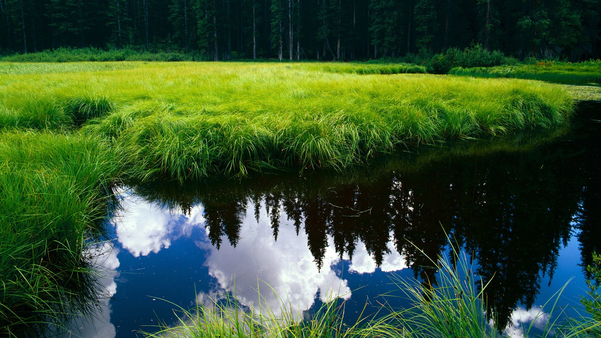 大比分逆转第四节关键战术深度剖析,大比分落败