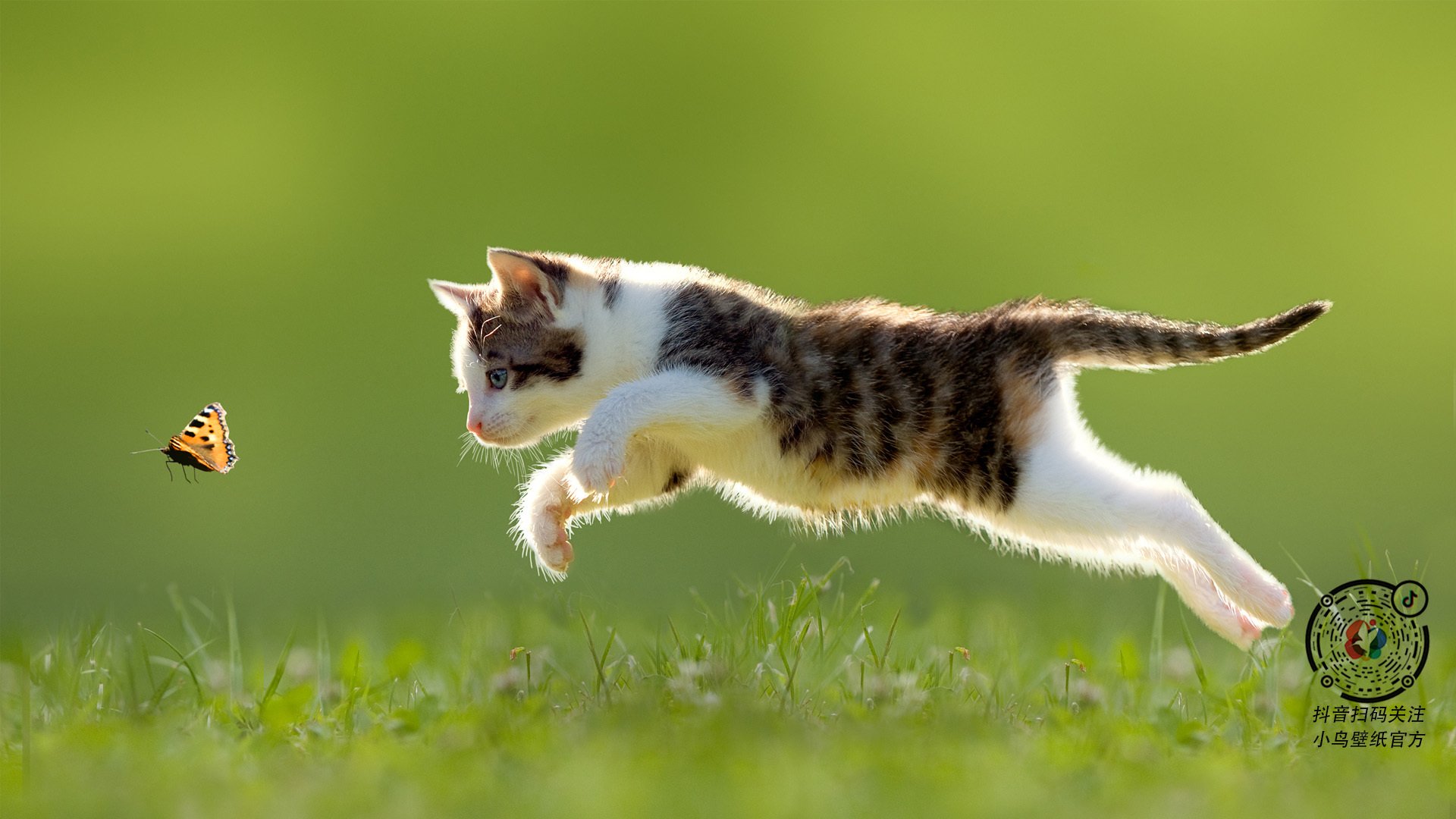 新闻中心完成平台智能化升级，智能化媒体下的新闻生产