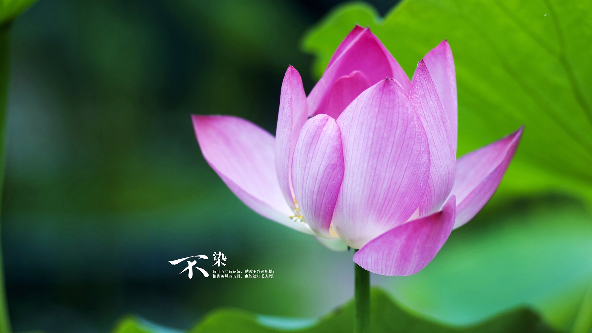 瑞典队在2024年混合团体世界杯中的全能表现，瑞典队比赛