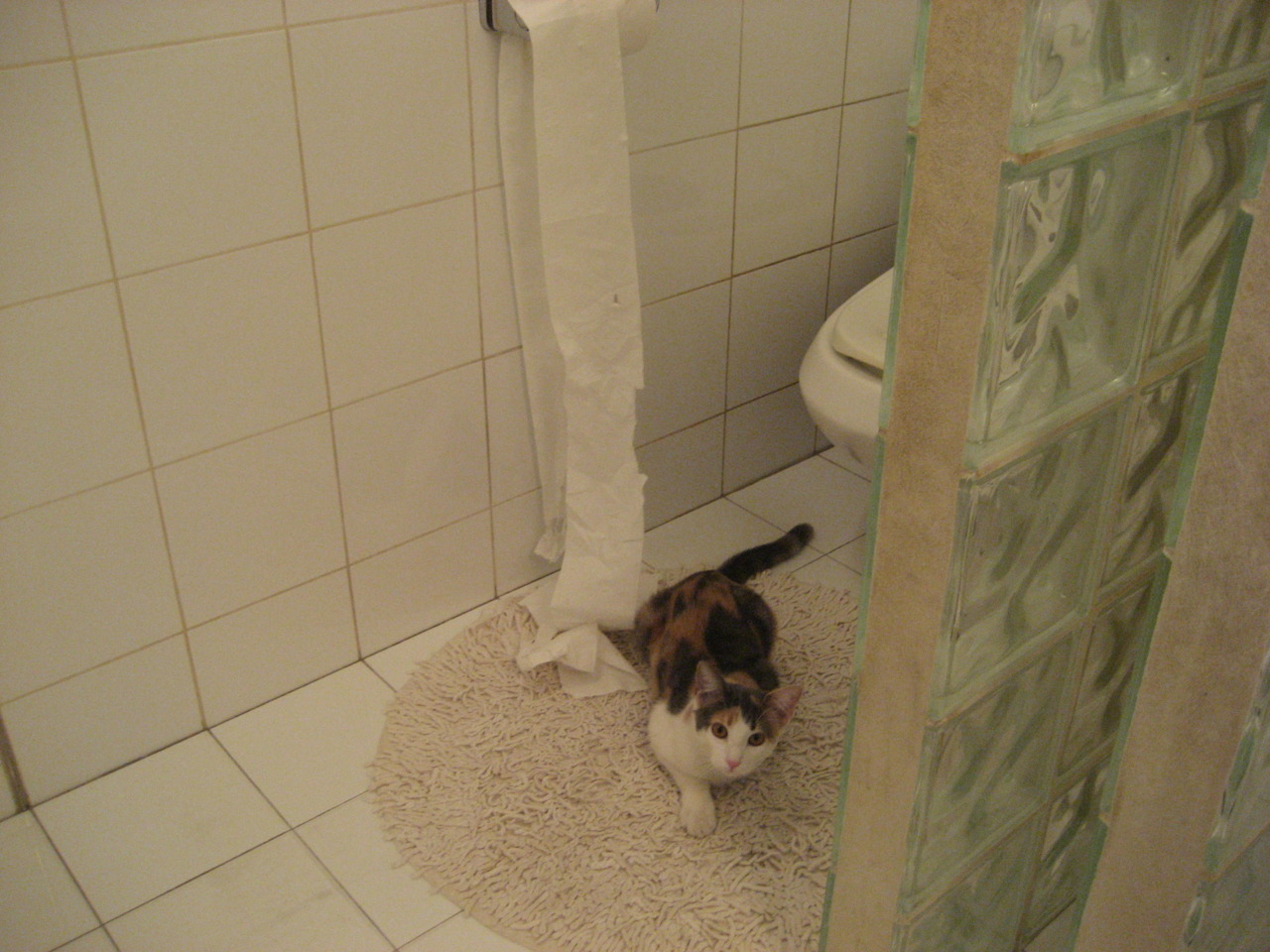 罗马尼亚队团体赛制深入分析:如何通过战术配合提升整体稳定性