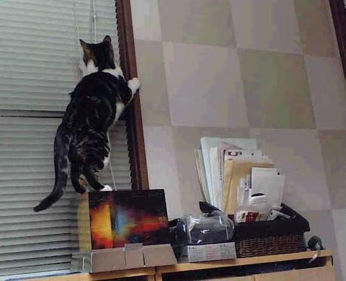 青训体系建设实现多点开花，青训管理