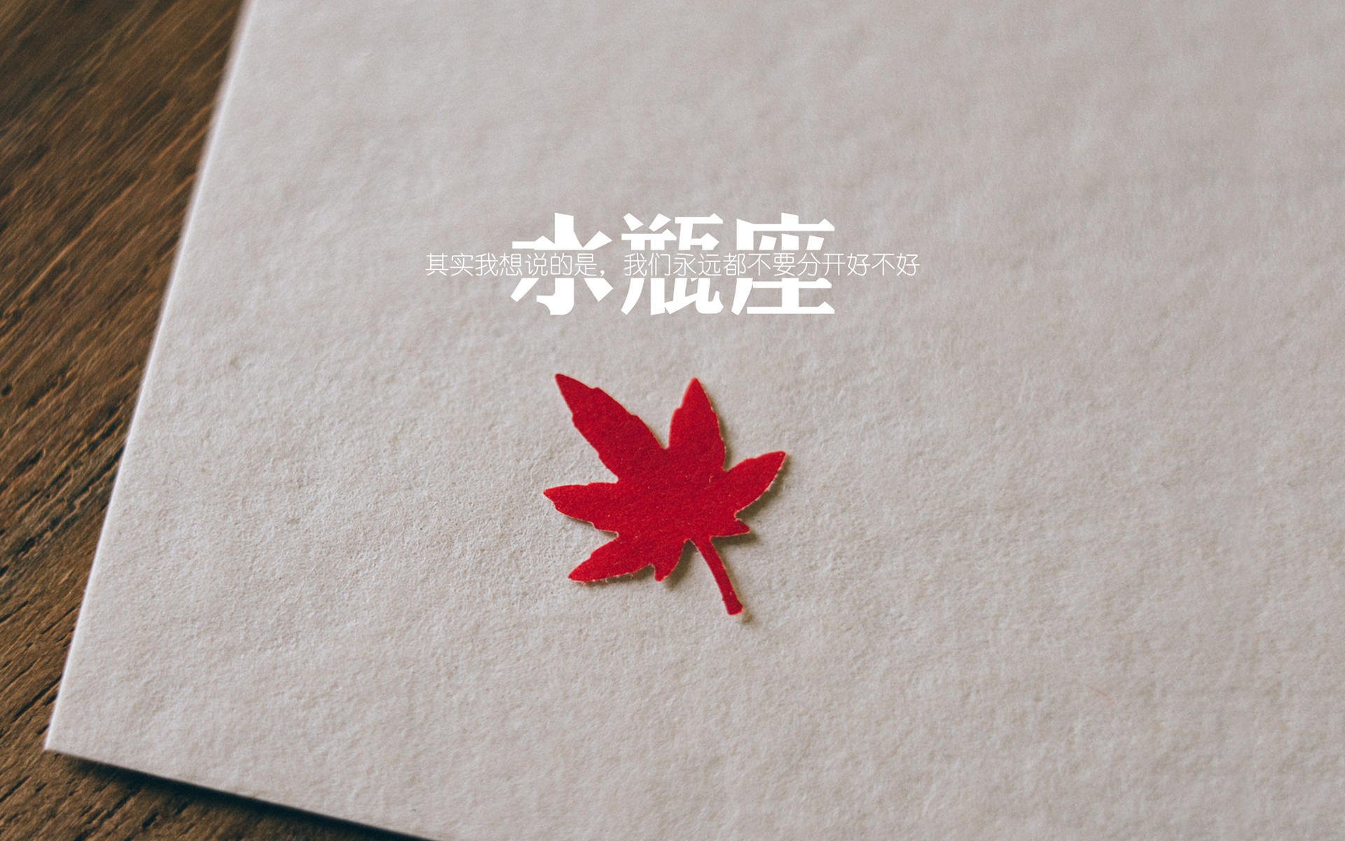 2026世界杯场馆采用全可再生能源，绿色环保成行业标杆，2026世界杯扩容