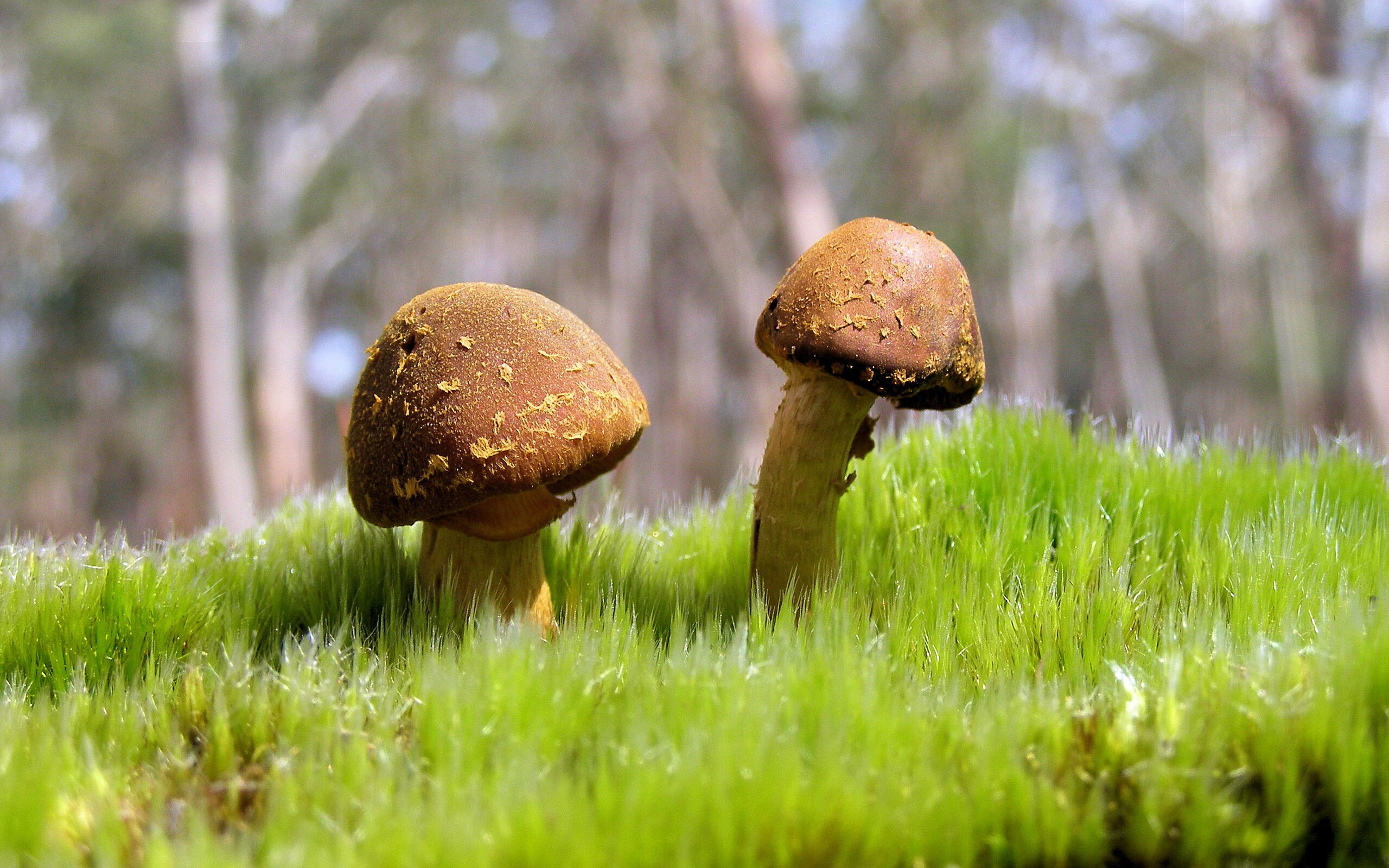 丁俊晖更换战术风格效果立竿见影,丁俊晖失传绝技