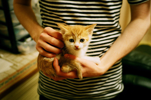 意甲场场精彩：场面火爆，比分胶着，意甲及时比分