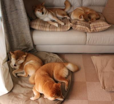 波兰选手赫梅列夫斯基决赛全力以赴