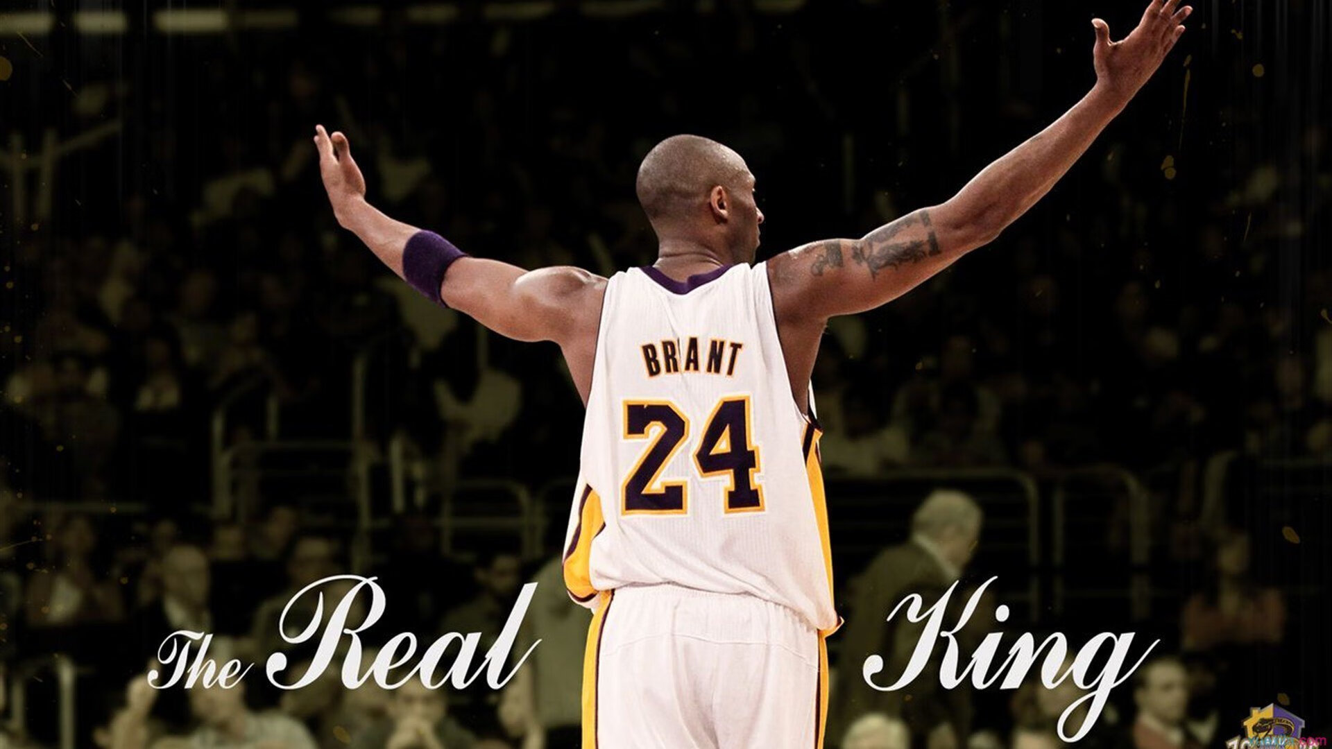 CBA赛场上青春与梦想齐飞，cba赛场上青春与梦想齐飞是哪一集